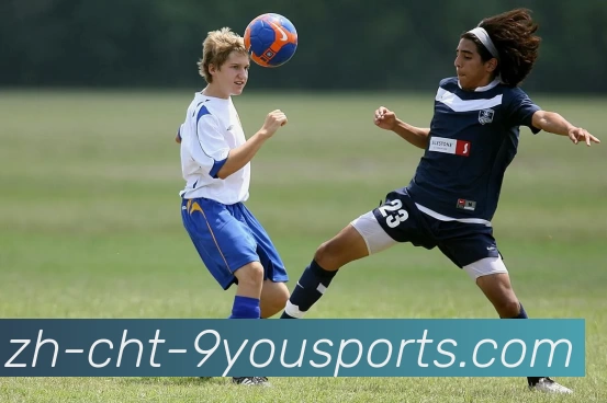 九游体育app下在发展历程