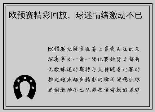 欧预赛精彩回放，球迷情绪激动不已